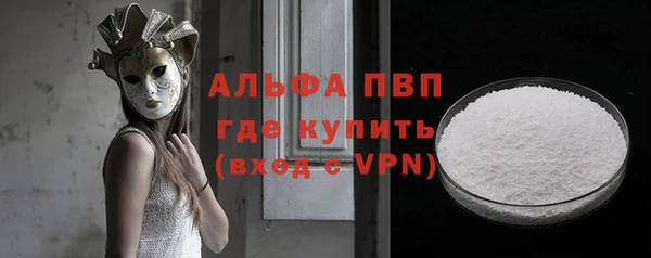 трава Сясьстрой