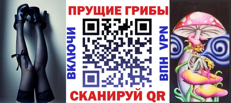 где купить наркотик  Карабаш  Псилоцибиновые грибы MAGIC MUSHROOMS 